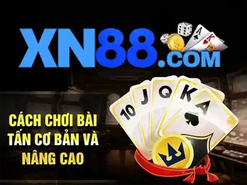 An toàn, pháp lý và cam kết về trải nghiệm người dùng