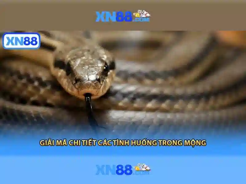 Các tính năng nổi bật
