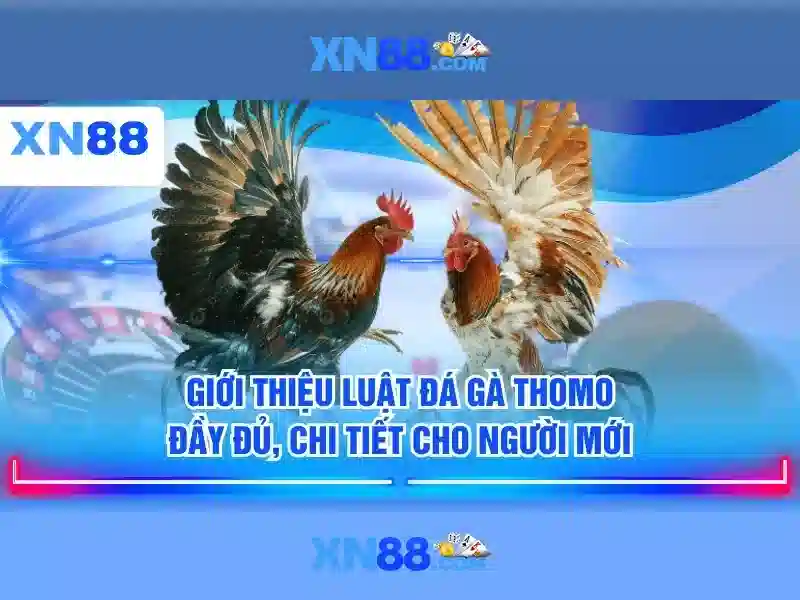 Tính năng và an toàn