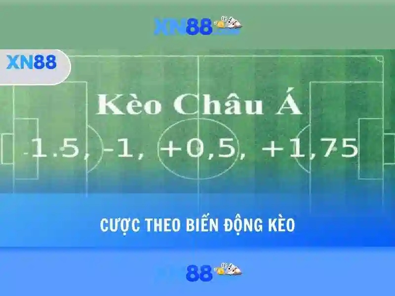 Tính năng nổi bật