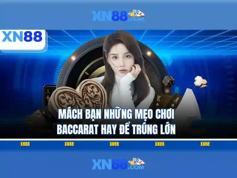 Lĩnh vực hoạt động của XN88