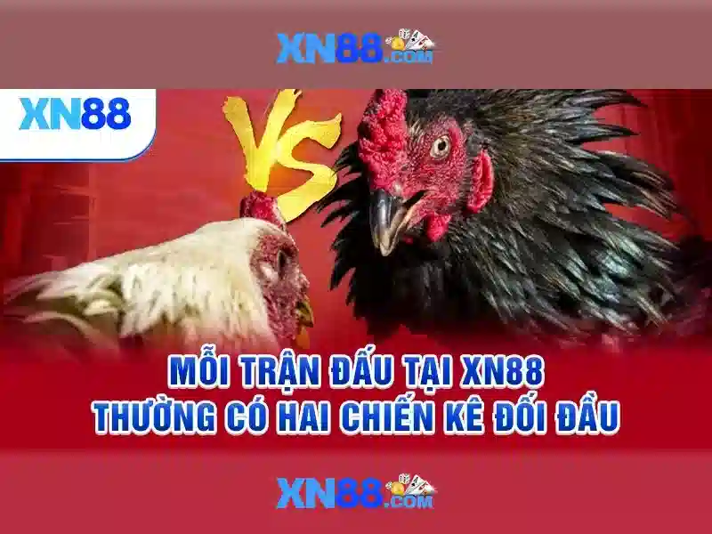 Nền tảng và trò chơi nổi bật
