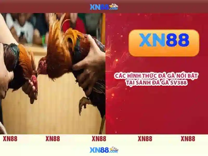 Tính năng nổi bật của xn88