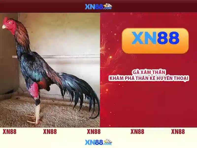 Các tính năng chính của xn88