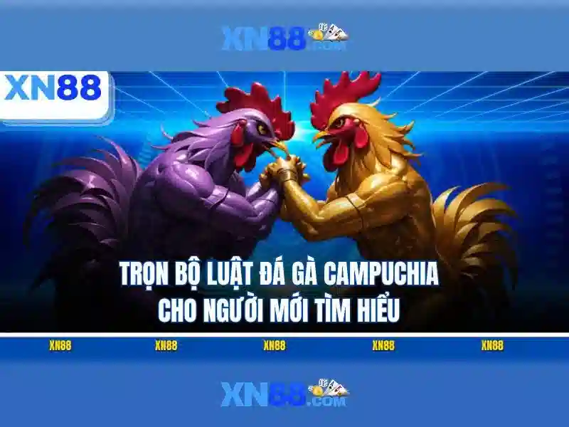 Nguon goc va su mung cua xn88 google play