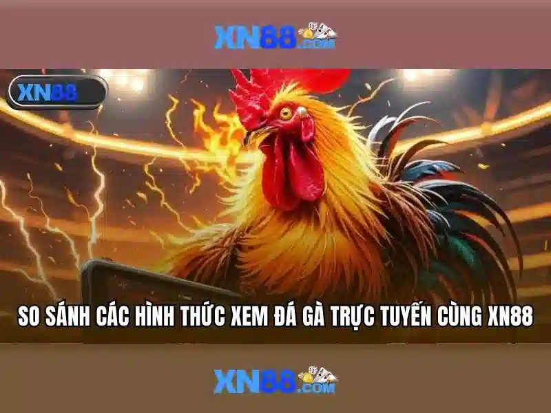 Các trò chơi và dịch vụ