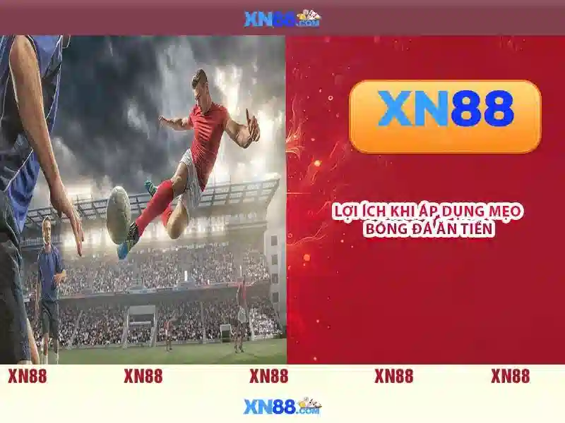 Trải nghiệm người dùng và phản hồi cộng đồng