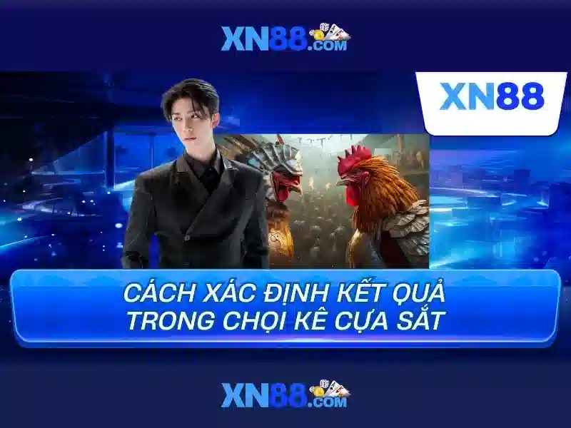 Bài viết 1