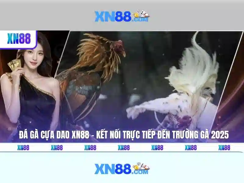 Bài viết 1