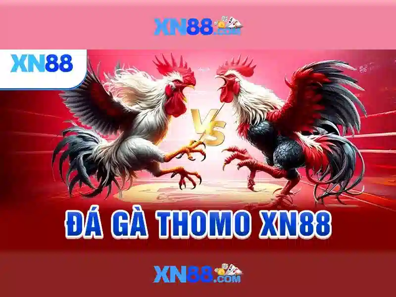 Bài viết 1