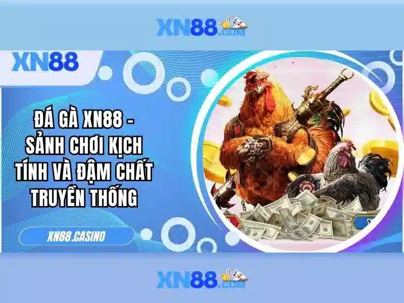 Phương pháp truy cập và hỗ trợ người dùng