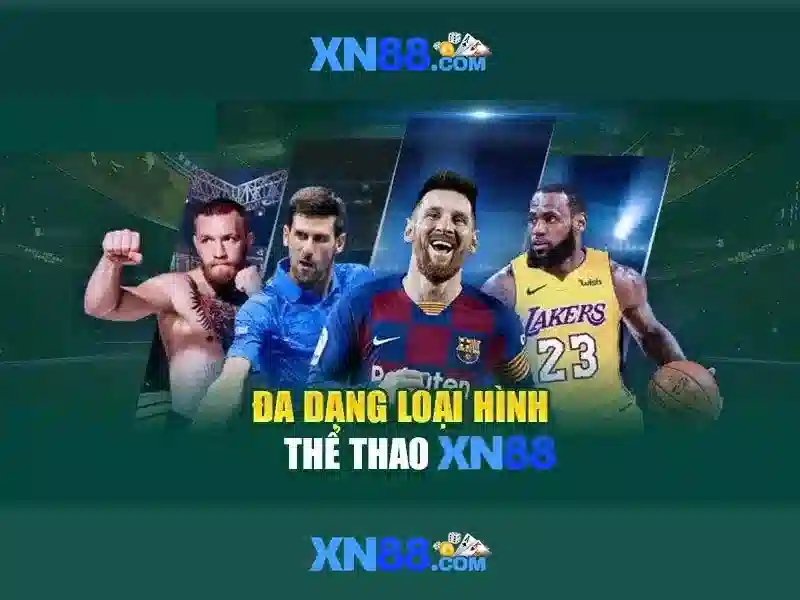 Trải nghiệm người dùng và phản hồi cộng đồng