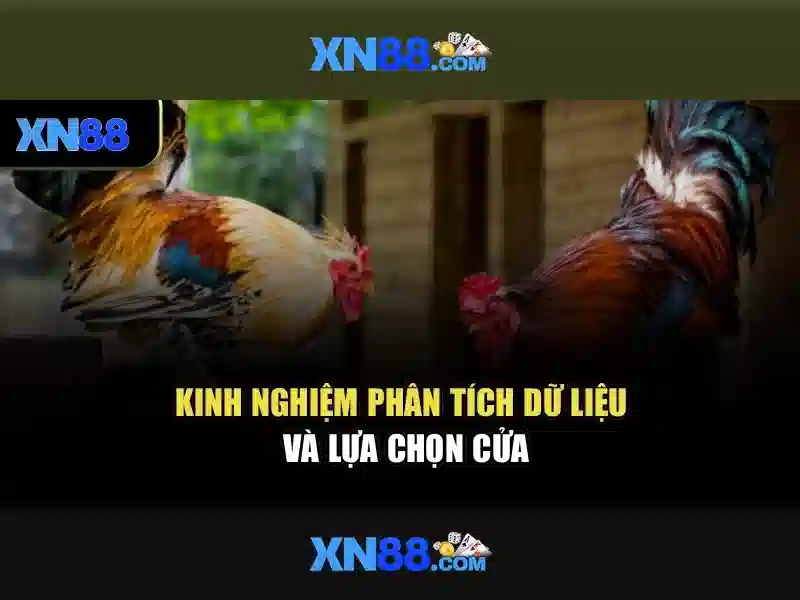 Lợi ích khi tham gia xn88