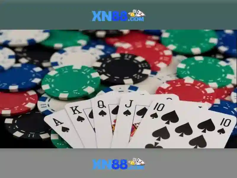 'Nền tảng và giao diện người dùng'