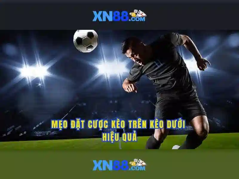 Lợi ích khi sử dụng xn88