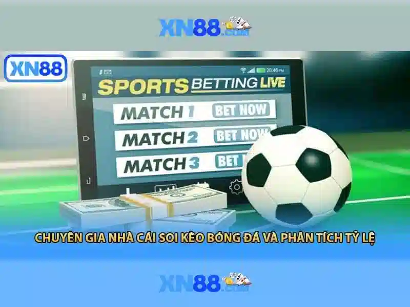 Các đặc điểm chính của xn88