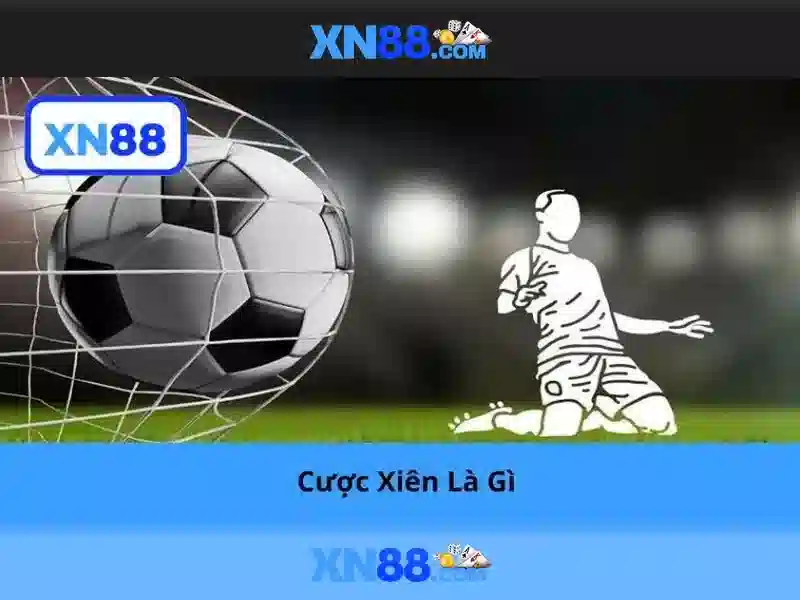 Nền tảng và giấy phép