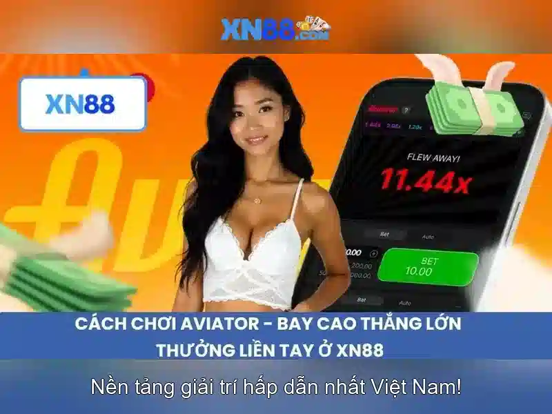 Bài viết 1