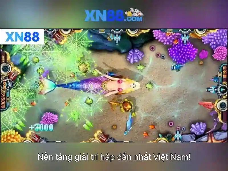 Các sản phẩm và tính năng nổi bật