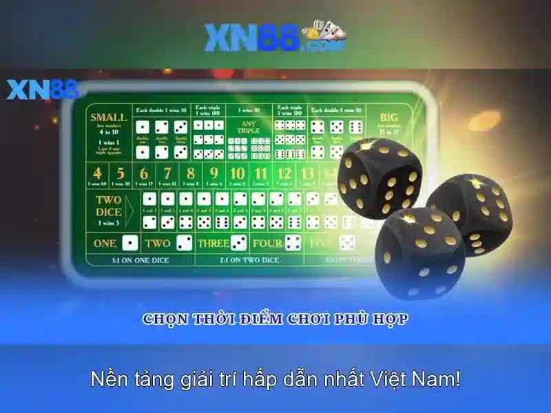 Bài viết 1