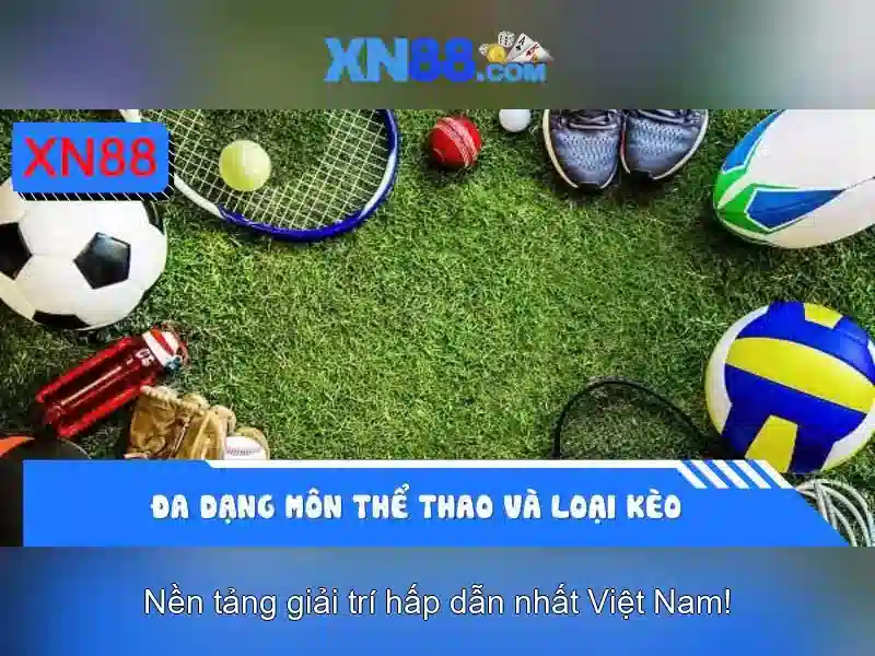 Bài viết 1