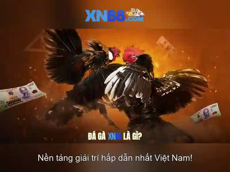 An toàn và trách nhiệm khi tham gia xn88
