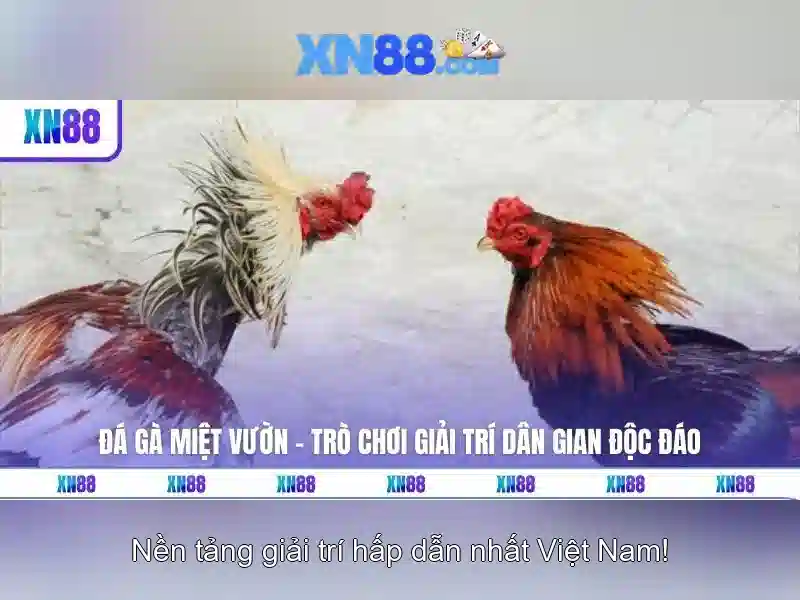 Bảo mật và hỗ trợ khách hàng