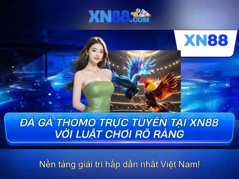 Hướng dẫn đăng ký và thanh toán