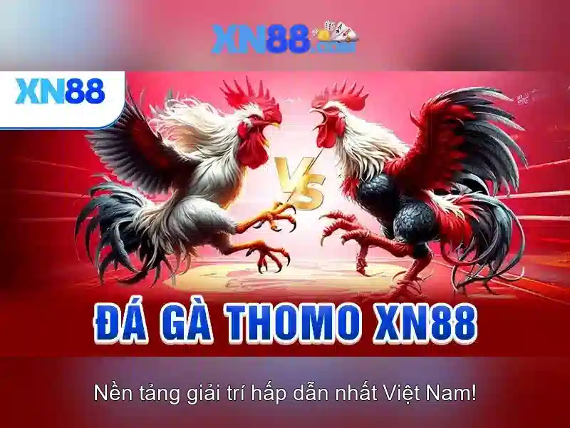 An toàn và trách nhiệm khi tham gia xn88
