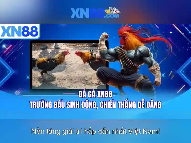 Bài viết 1