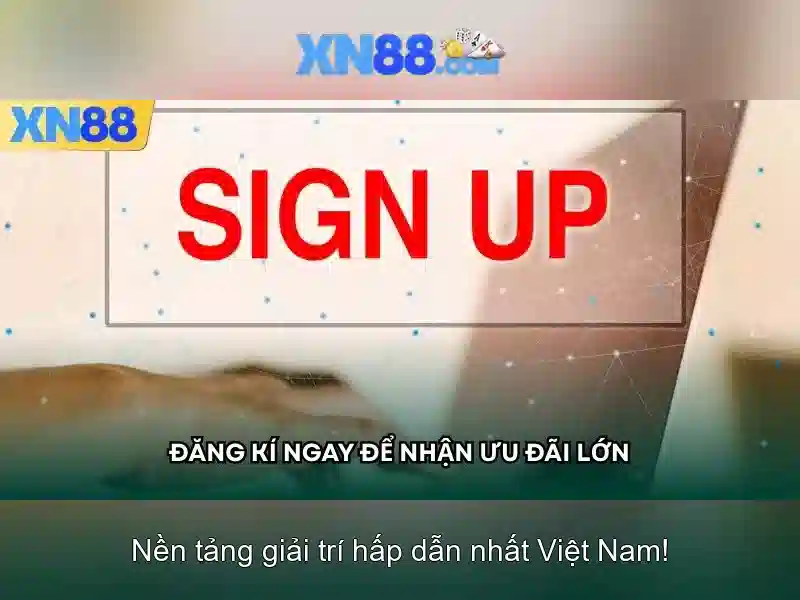 Bài viết 1