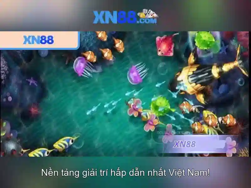 Tính năng và trải nghiệm người dùng