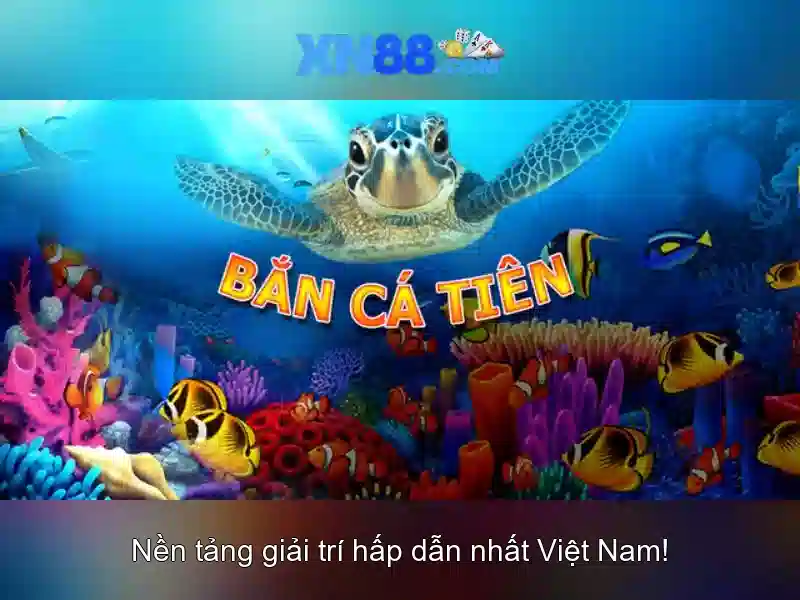 An toàn và cấp phép