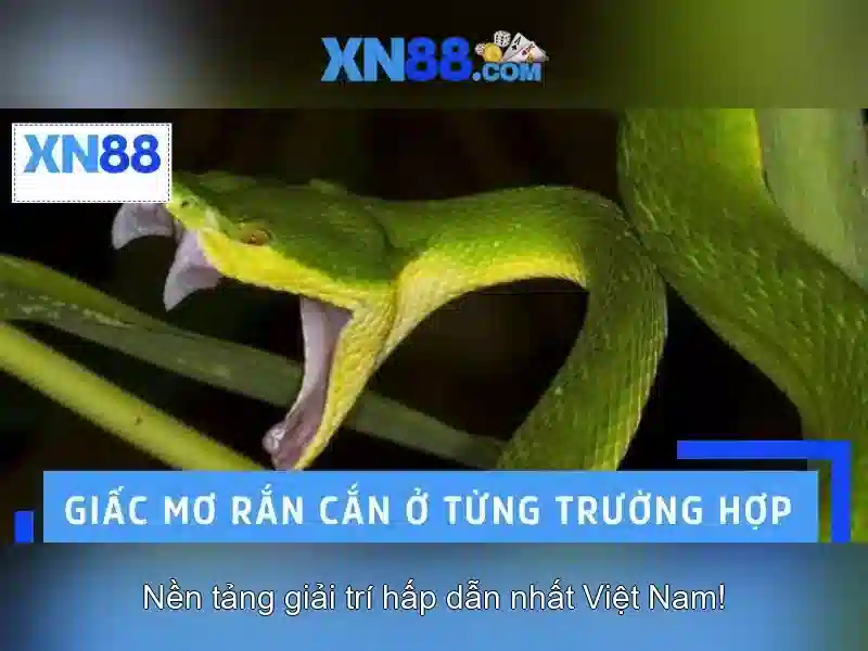 Nền tảng công nghệ và an toàn