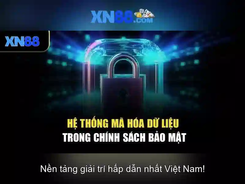 Hỗ trợ khách hàng và dịch vụ