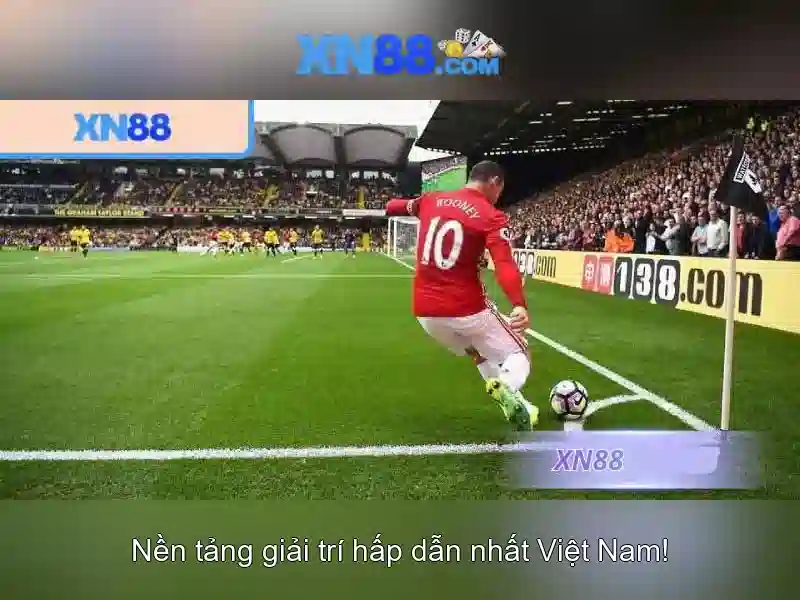 Trải nghiệm người dùng và cộng đồng