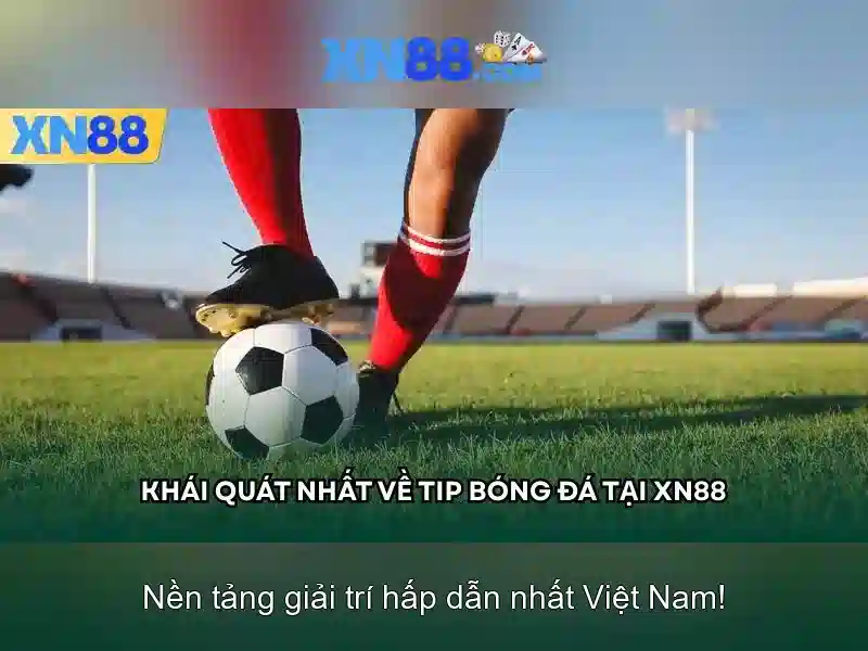 Giới thiệu về xn88
