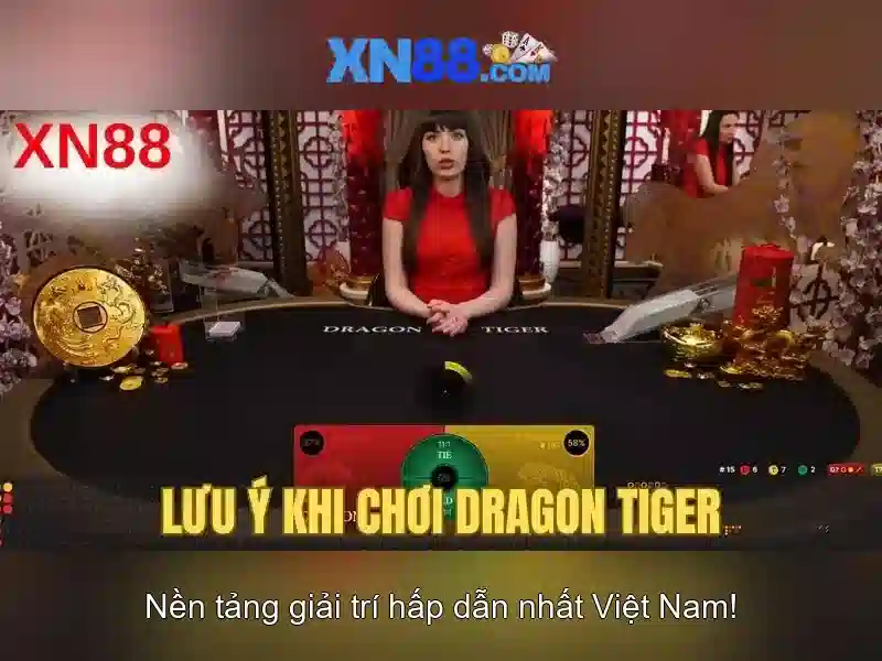 Hướng dẫn tham gia và trải nghiệm người dùng