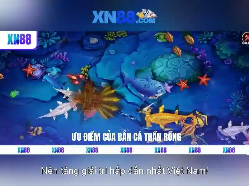 Cam kết an toàn và pháp lý cho người dùng
