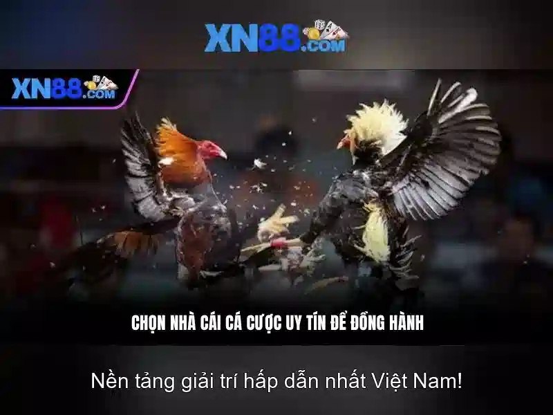 Bài viết 1