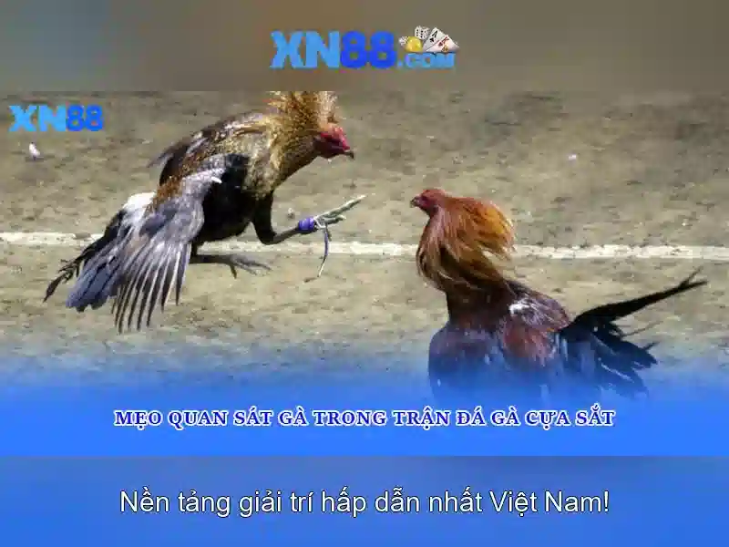 Giới thiệu về xn88