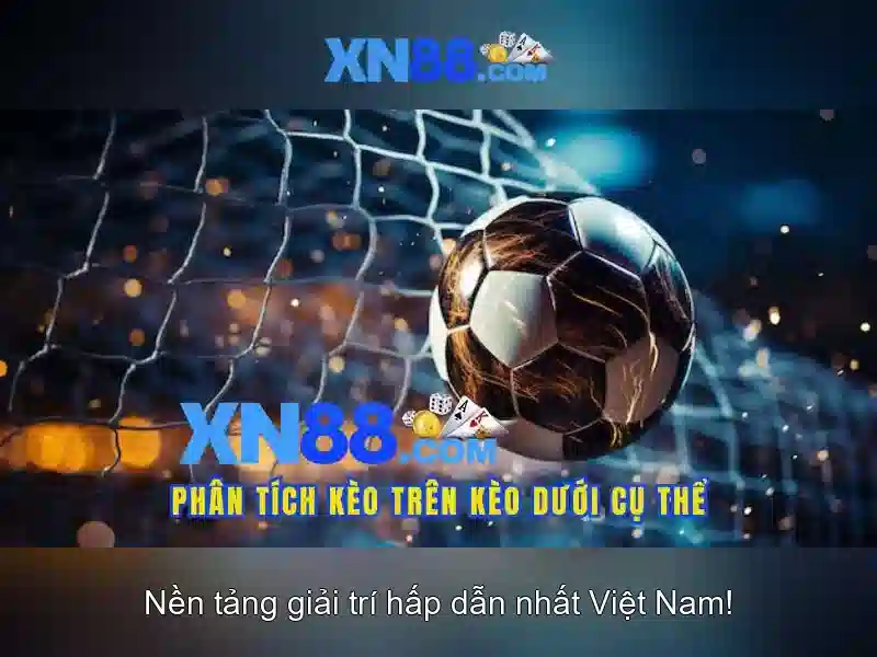 Bài viết 1