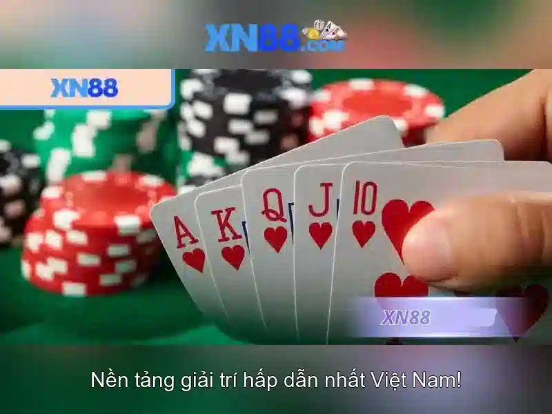 Khuyến nghị và lưu ý