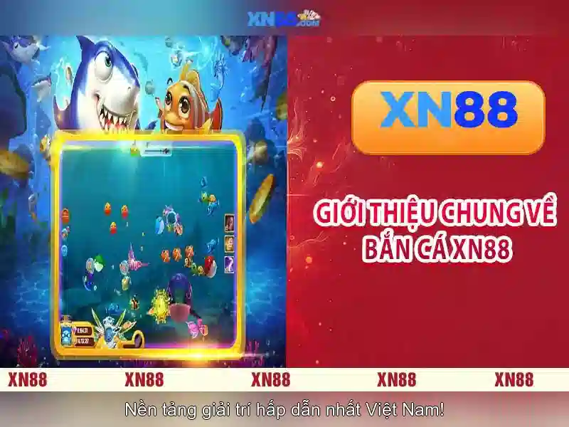 Bài viết 1