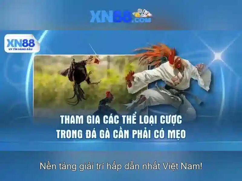 Tính năng và lợi ích