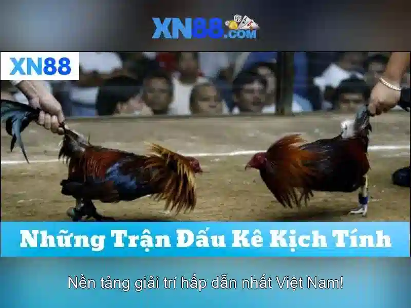 An toàn và bảo mật