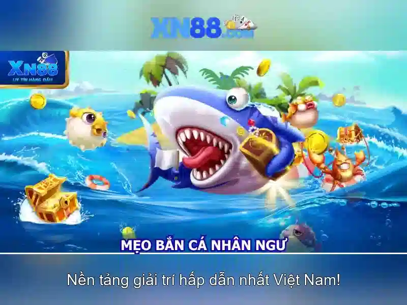 Giới thiệu về xn88