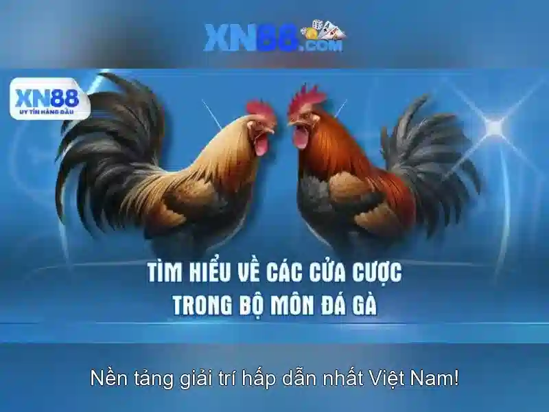 Độ tin cậy và an toàn