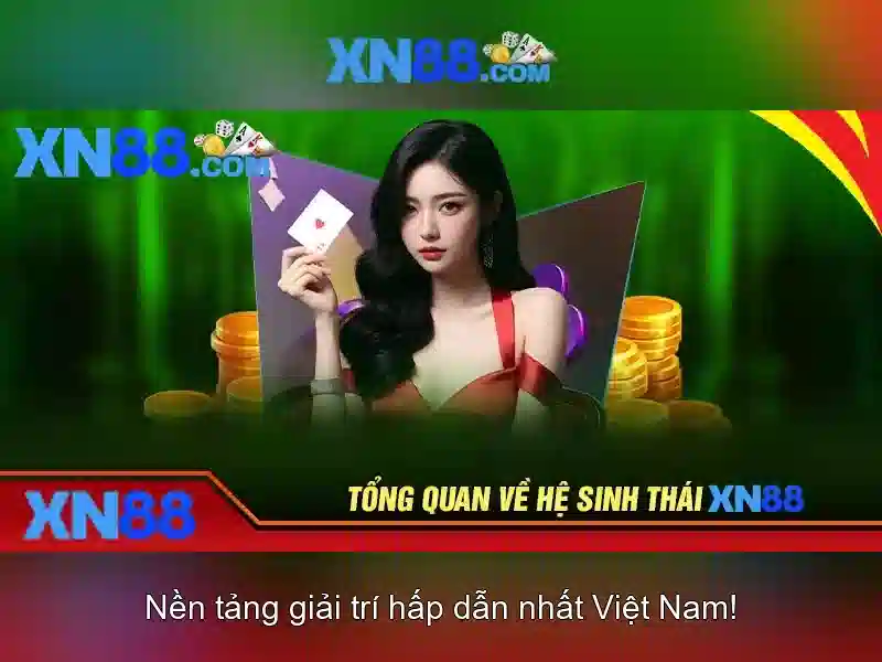 Bài viết 1