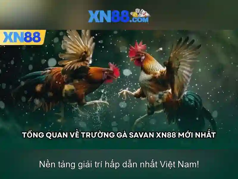 Bài viết 1
